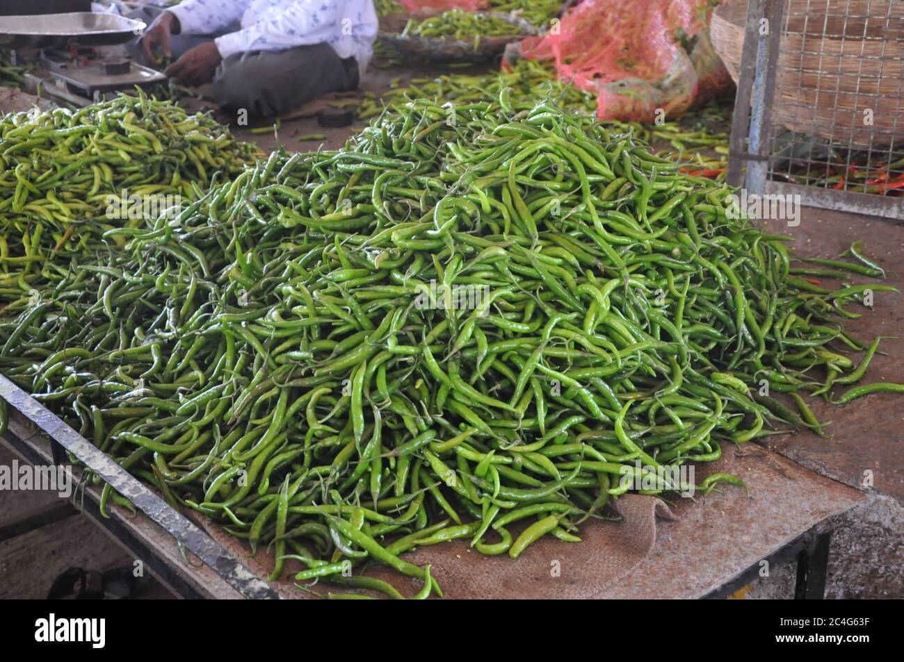 Haufen von grünen Chilischoten auf dem indischen Gemüsemarkt Stockfoto