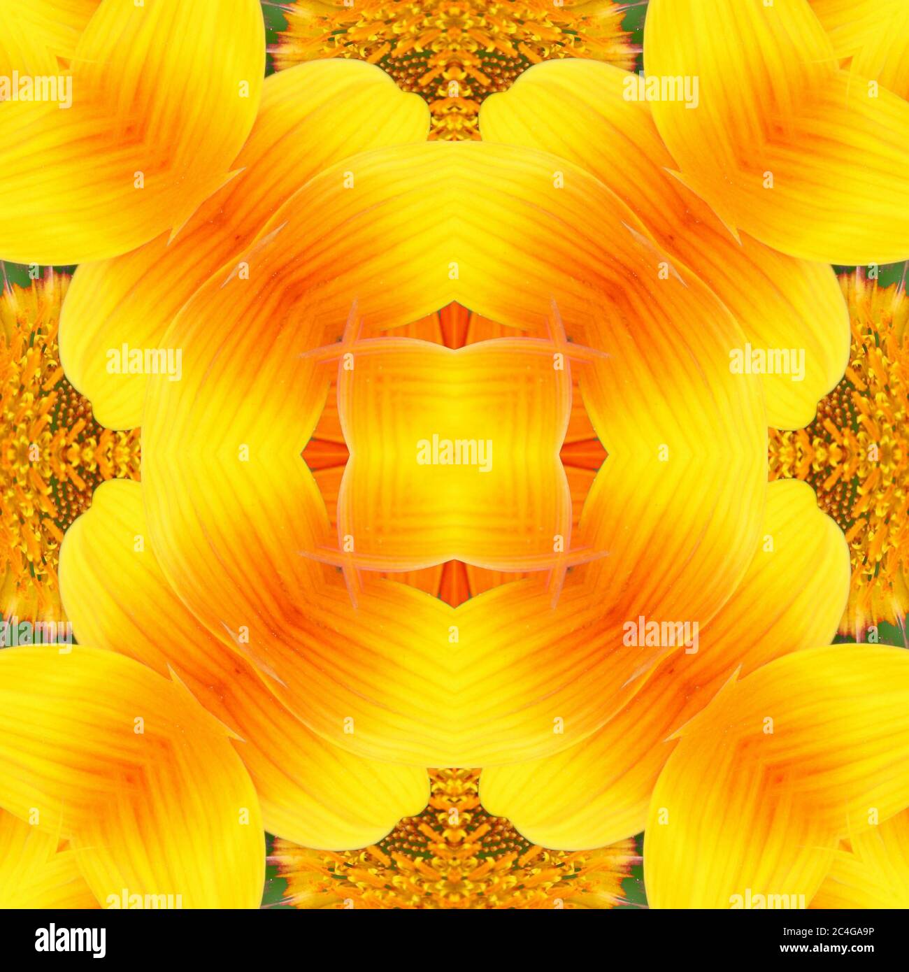 Nahtlose symmetrische Muster abstrakt gelbe Blume Textur Stockfoto