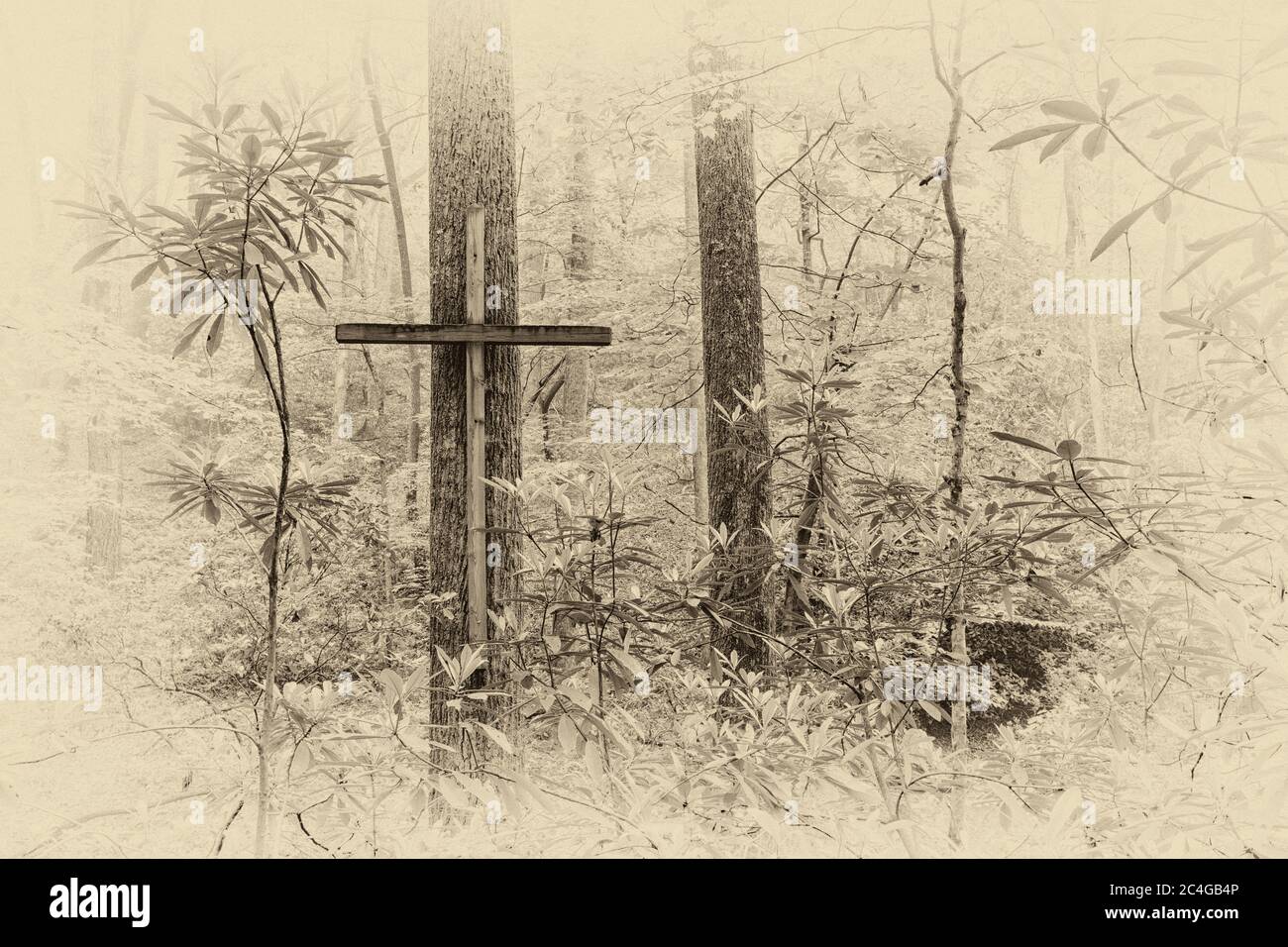 Sepiafarbiges Bild eines Holzkreuzes im Wald - Brevard, North Carolina, USA Stockfoto
