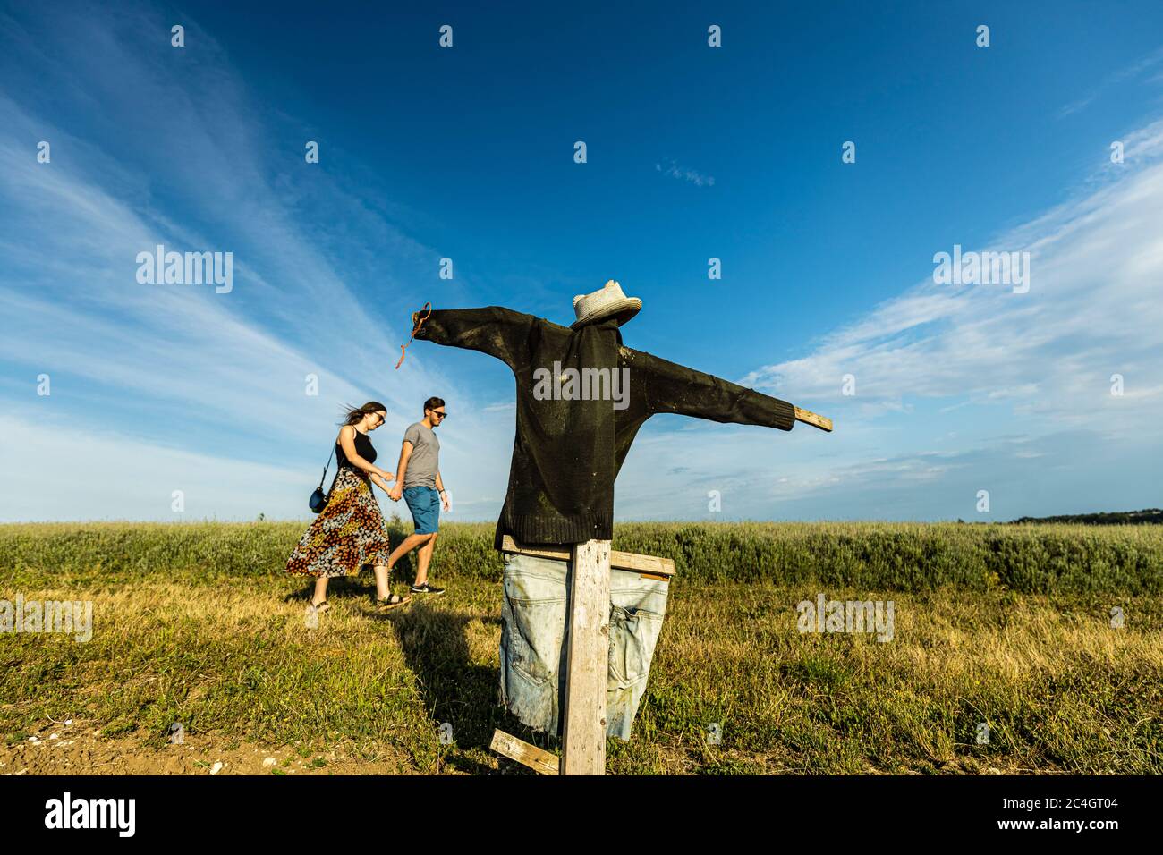 Hitchin, Großbritannien. 26. Juni 2020 im Bild: Besucherattraktion, Hitchin Lavender öffnet wegen der COVID-Krise einen Monat später als üblich für die Öffentlichkeit. Besucher werden gebeten, im Voraus zu buchen und soziale Distanzierung zwischen den Meilen von Lavendel in den Feldern anzuwenden. Kredit: Rich Dyson/Alamy Live Nachrichten Stockfoto