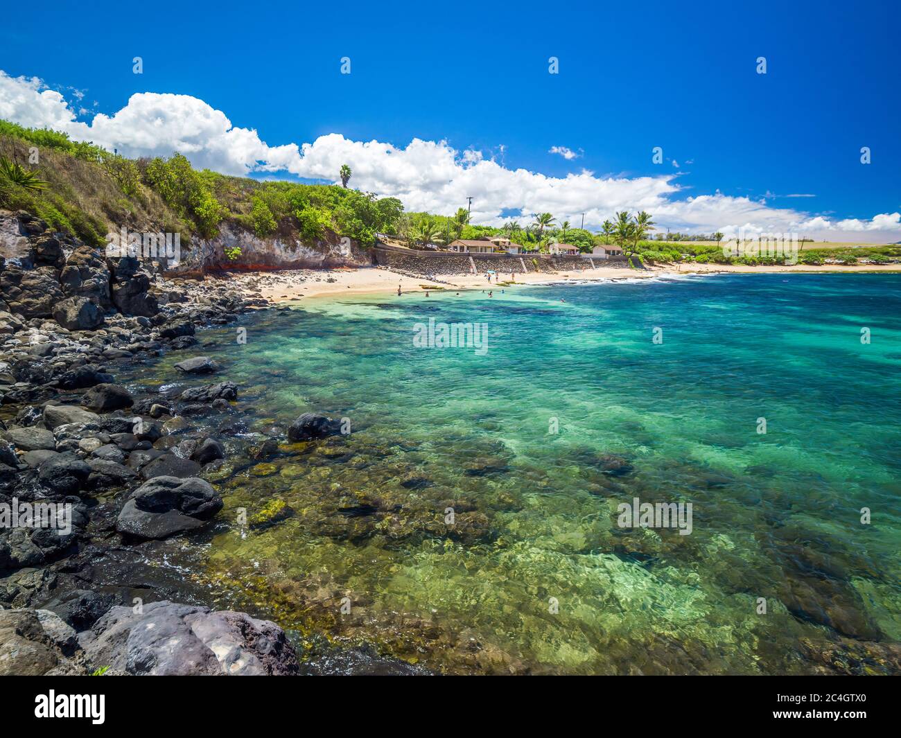 Ho'okipa Beach Park in Maui Hawaii, Windsurfplatz, große Wellen und große Schildkröten Stockfoto