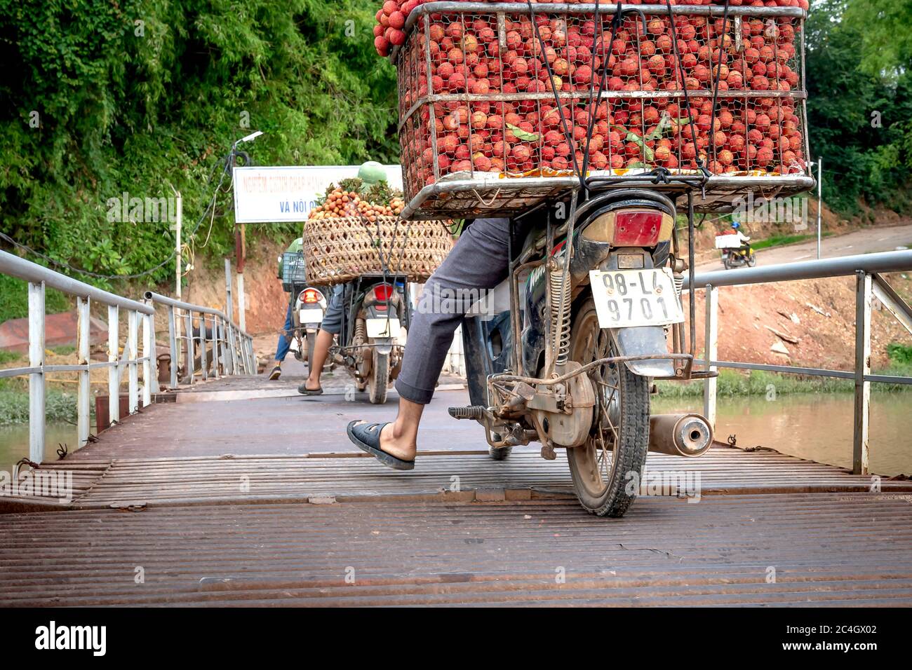 Luc Ngan District, Bac Giang Province, Vietnam - Jun 10, 2020: Bauern ernten Litchi Früchte und transportieren sie mit dem Motorrad zum Verkauf auf dem Markt Stockfoto