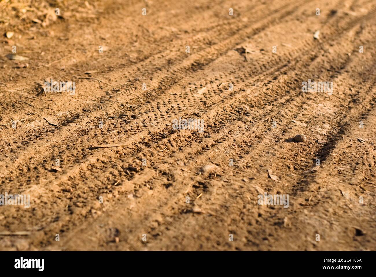 Fahrradwege auf einem Feldweg. Nahaufnahme. Stockfoto