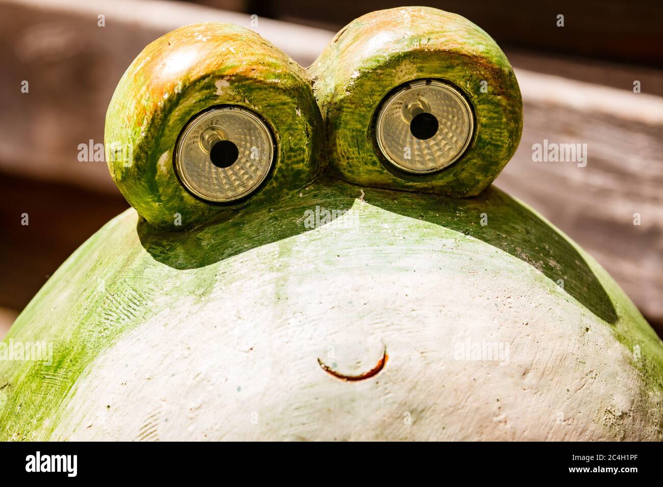 Frosch mit LED Augen Stockfoto