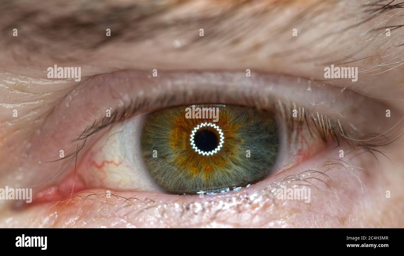 Haselfarbenes Auge im Makro Stockfoto