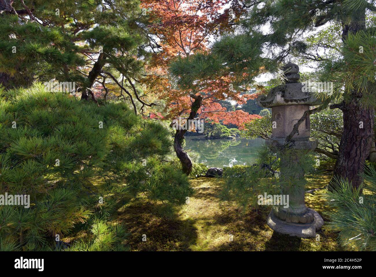 Kyoto Botanical Garden Japan Stockfoto