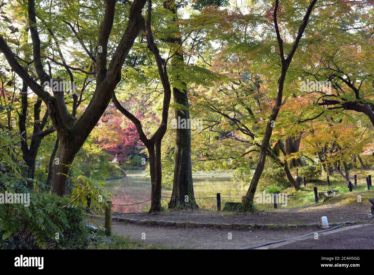 Kyoto Botanical Garden Japan Stockfoto