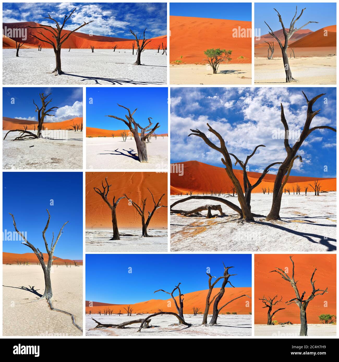 Schönste Landschaft in Namibia. Tote Camelthorn Bäume vor einer roten Dünen in Deadvlei, Sossusvlei. Collage. Namib-Naukluft National Park, Namibi Stockfoto