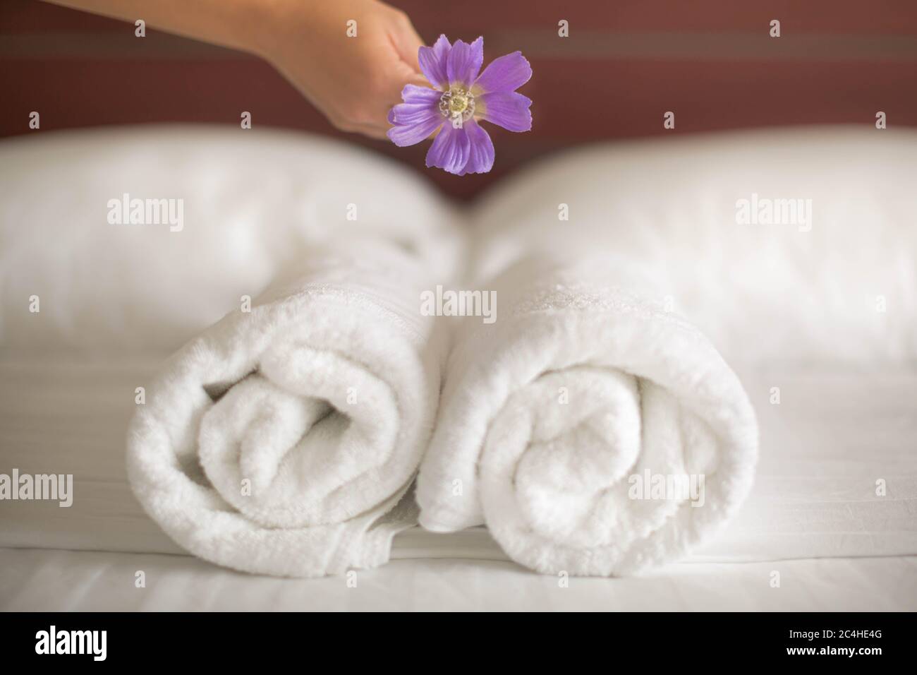 Eine Nahaufnahme eines Mädchens, das eine Blume auf ein Set Handtücher auf das Hotelbett legte Stockfoto