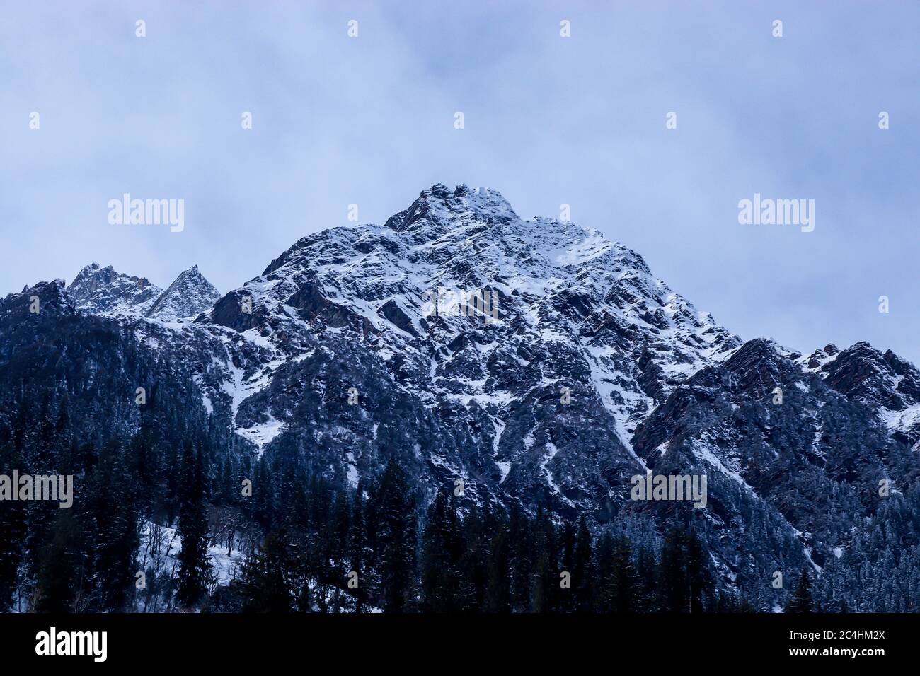 Schneebedeckter Berg mit Pinien am Fuße des Berges. Konzentrieren Sie sich auf Unendlichkeit. Stockfoto