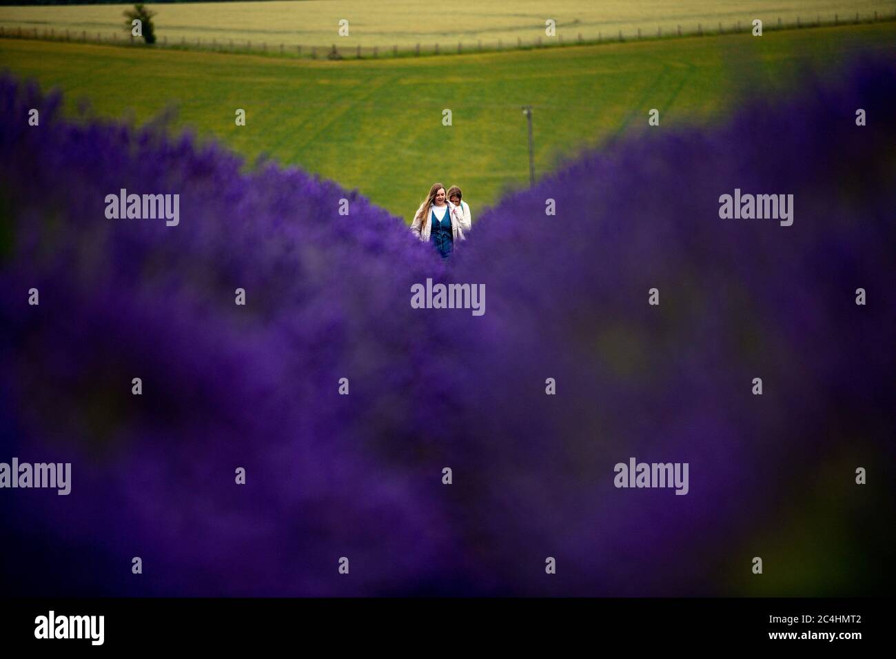 Die Menschen besuchen Cotswold Lavender in Snowshill, in der Nähe des Broadway in Worcestershire. Sonnenschein und Duschen werden für einen Großteil von England und Wales am Samstag prognostiziert, mit Temperaturen um 22 Grad (71.6F) zu schweben. Stockfoto
