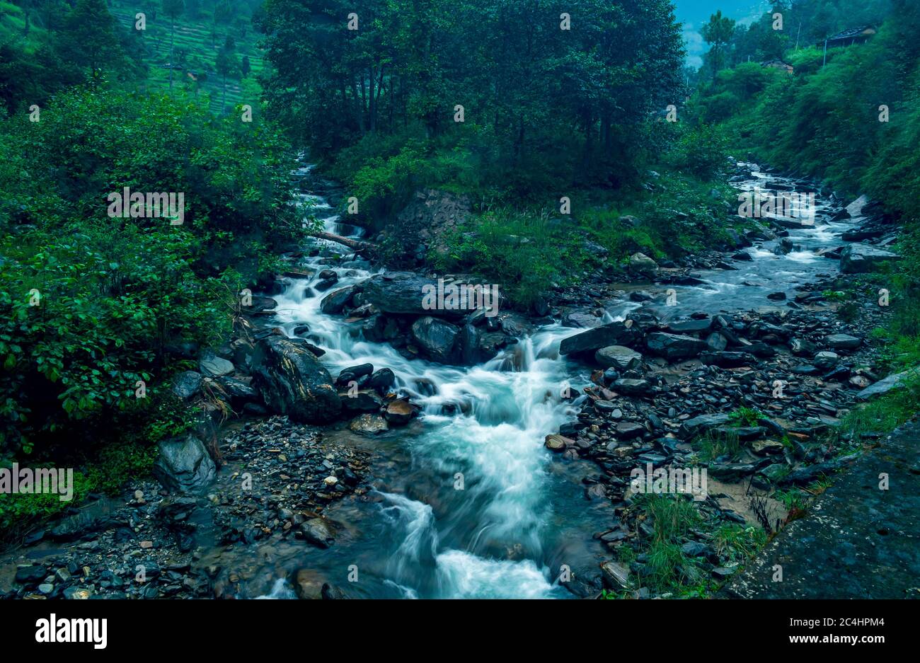 Ein Bergbach, Shoja, Tirthan Valley, Himachal Pradesh, Indien Stockfoto