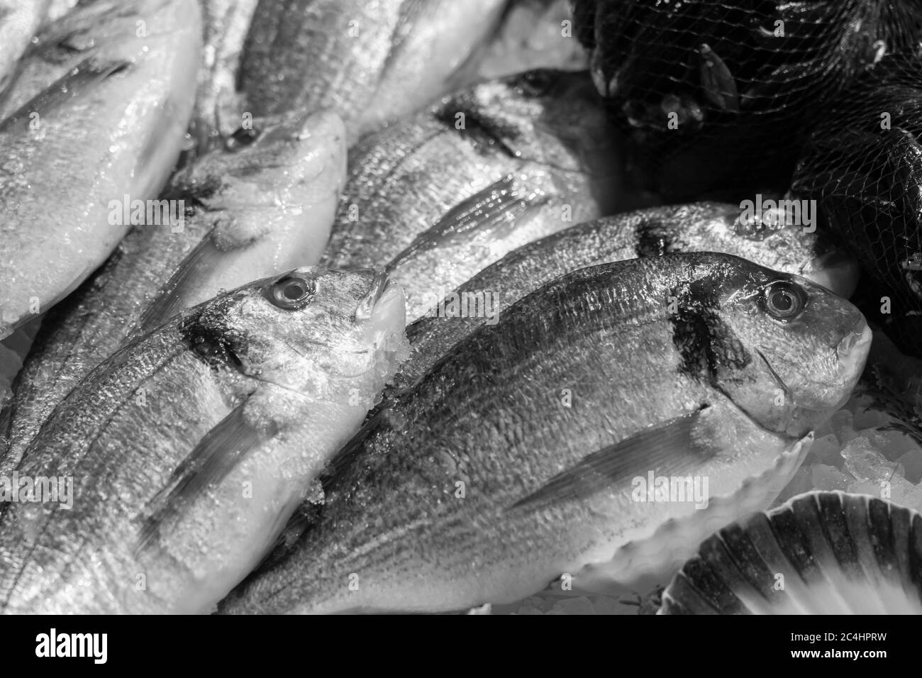 Klobige Gilt-Head-Brasse, ausgestellt auf einem Fishmongers in Leeds Market, West Yorkshire, England, Großbritannien. Stockfoto