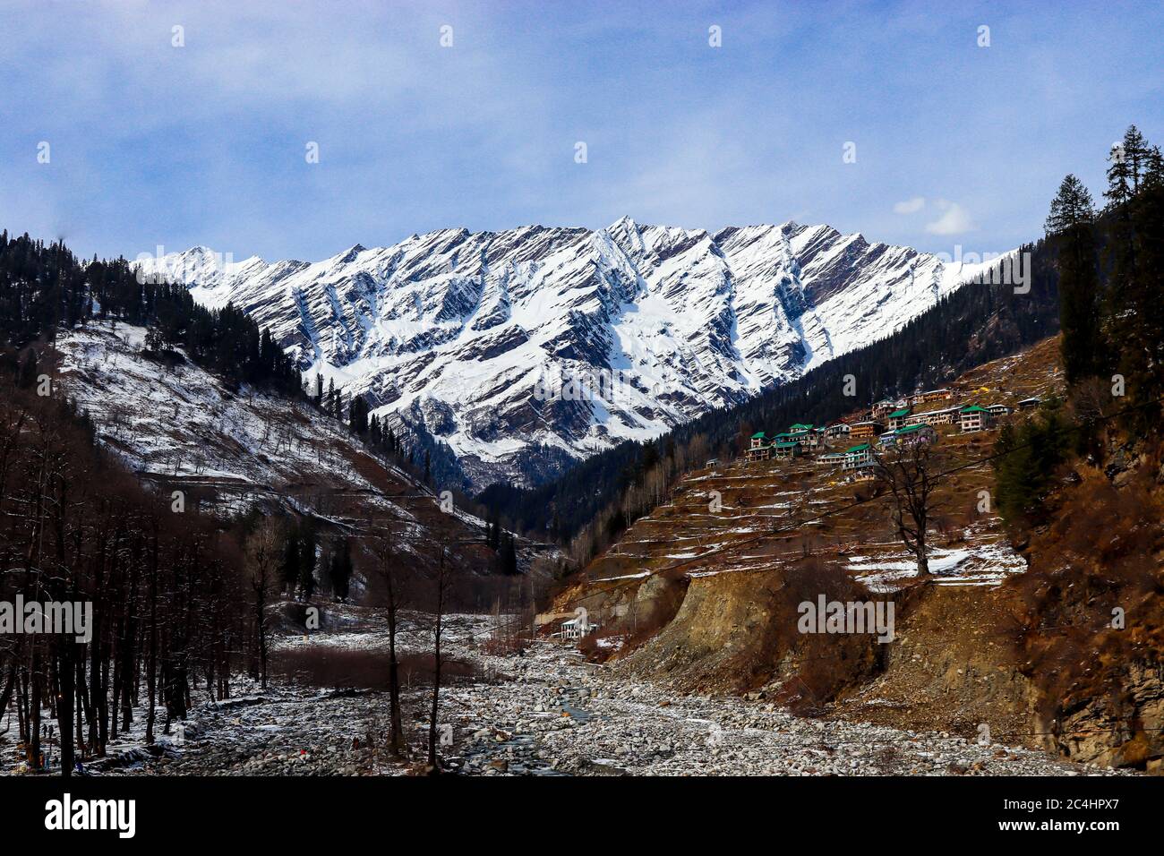 Schneebedeckter Berg im Hintergrund mit Berg bedeckt mit Pinien im Vordergrund. Fokus auf Unendlichkeit. Stockfoto