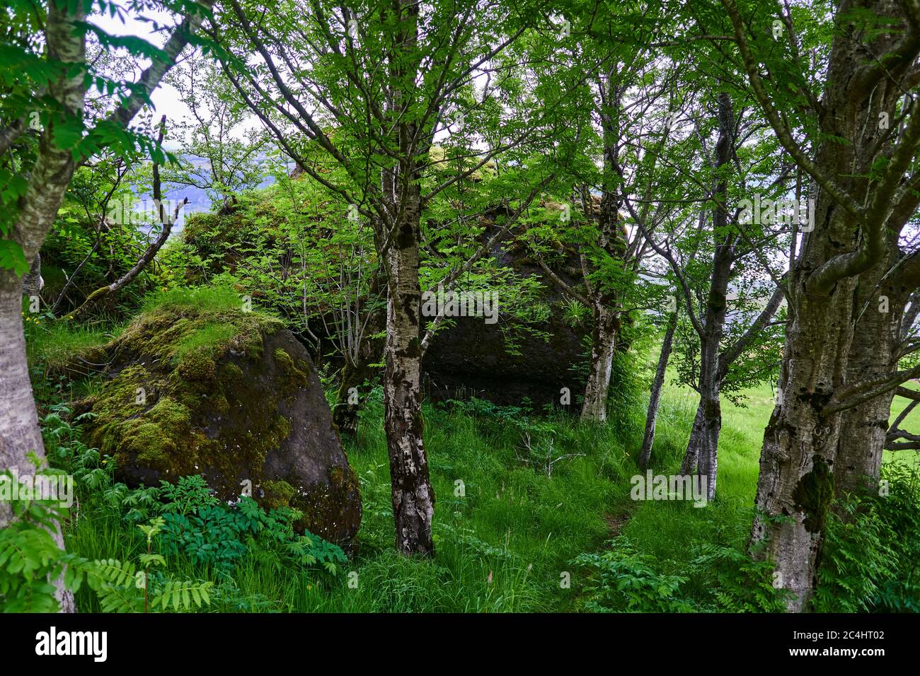 Nupsstadur, malerischer alter Bauernhof im Südosten Islands Stockfoto