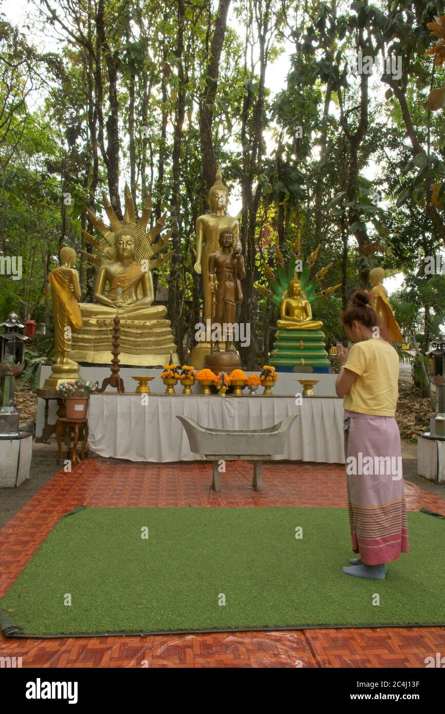Buddhistische Shjrine Wat Pha Tak Temple Frau in traditionellem Thai Kleiden Sie sich mit Gebeten für buddhistische Götter im Freilufttempel Ikonen auf Altarbäumen dahinter Stockfoto