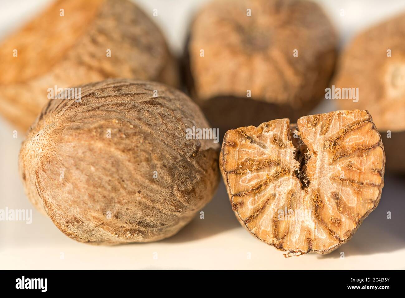 Muskatnuss samen -Fotos und -Bildmaterial in hoher Auflösung – Alamy