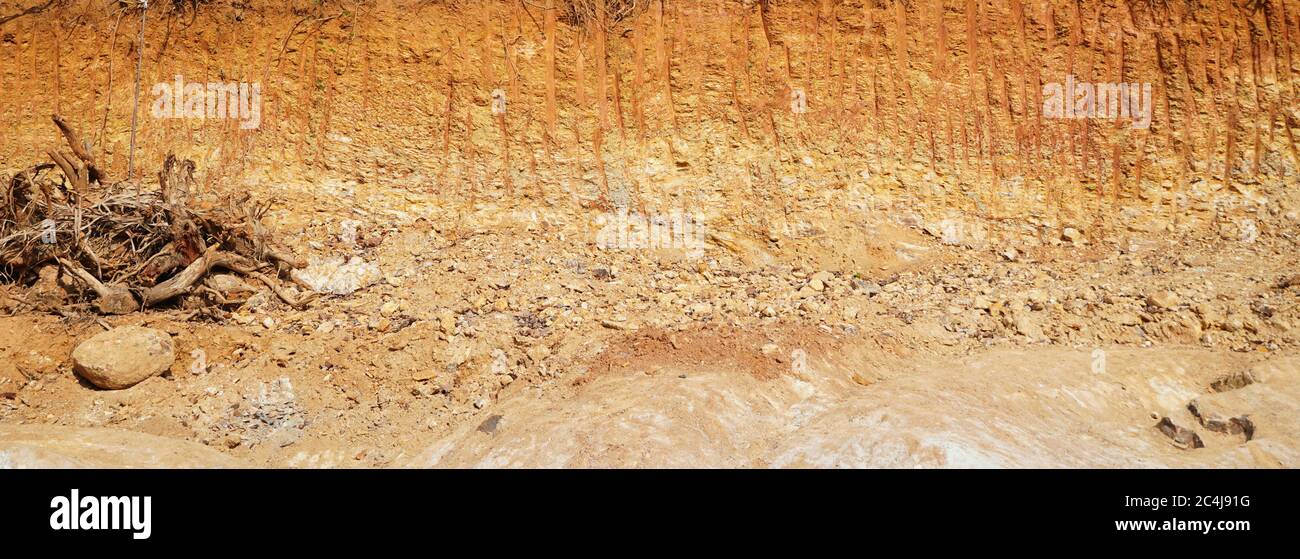 Entwaldung nah an Wurzeln, Felsen, die im Sonnenlicht zeigen. Rote und gelbe Felsen, in denen Boden aus Wald mit einem Bagger in den Bauen gegraben wurde Stockfoto