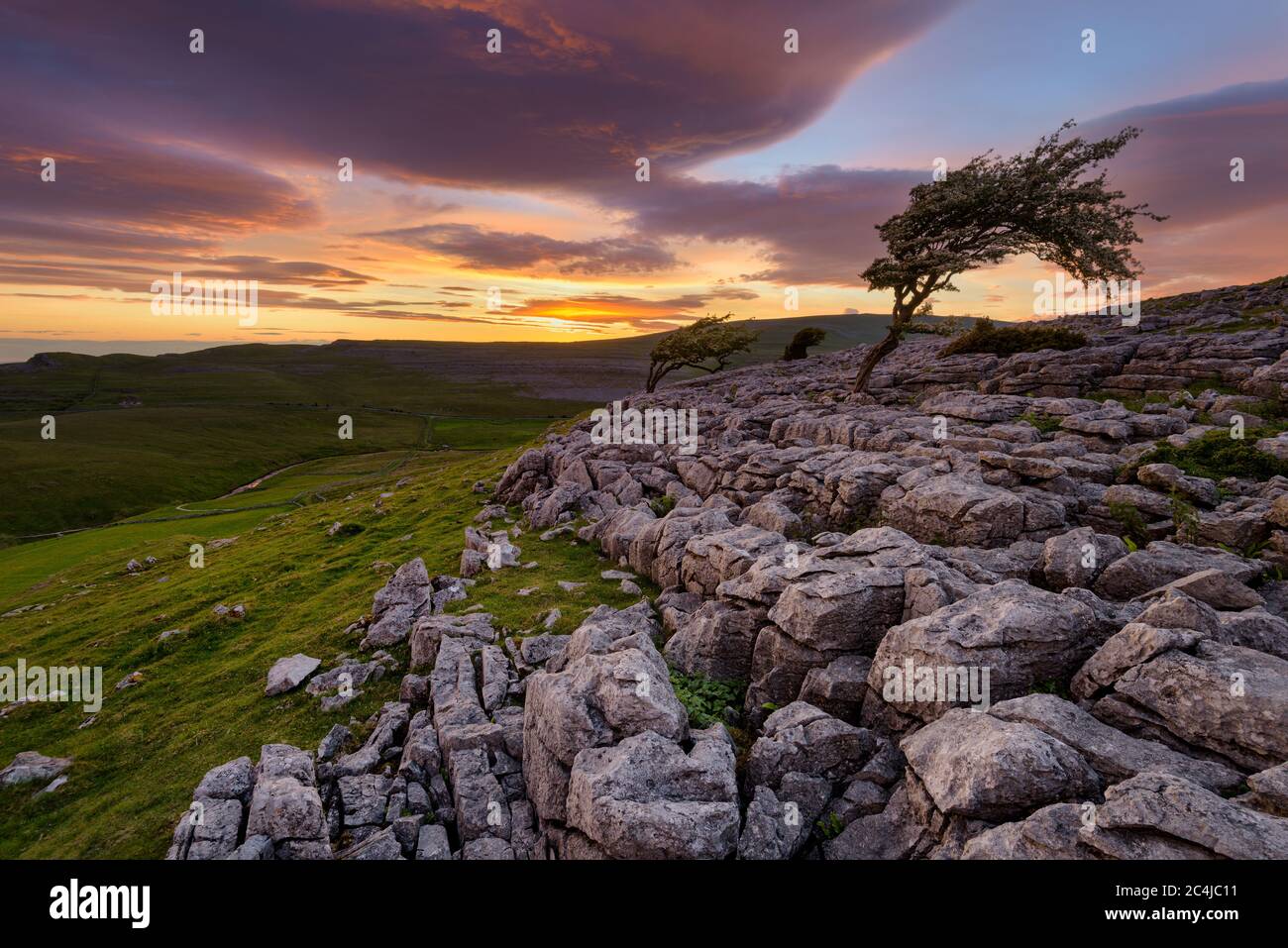 Winddlemswept Lone Tree Mit Wunderschönem Sonnenuntergang, Der Sich Auf Felsformationen In Der Landschaft Von Yorkshire Dales Spiegelt. Stockfoto