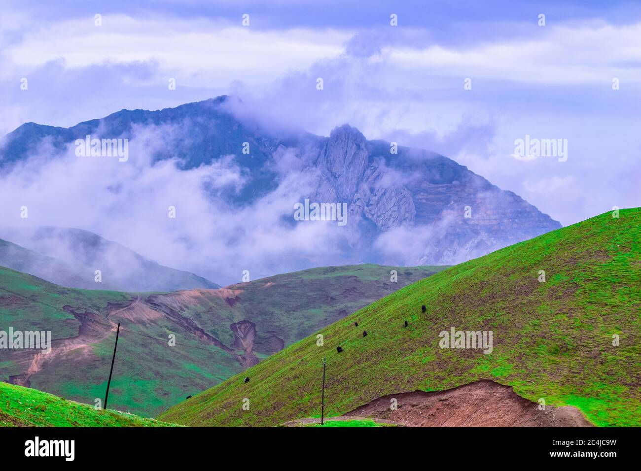 Wunderschöne Naturlandschaft. Broad Hills and Grasslands in der Provinz Qinghai, Nordwestchina Stockfoto