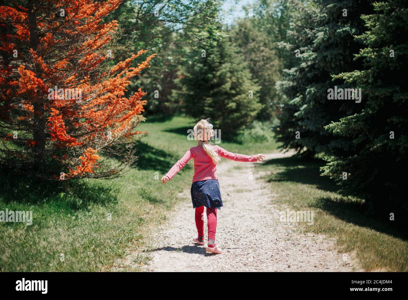 Nettes kleines junges Mädchen, das allein in wilden Wald geht. Happy Kid die Natur im Park erkunden. Kind genießt sonnigen Sommertag im Freien. Blick von hinten her Stockfoto