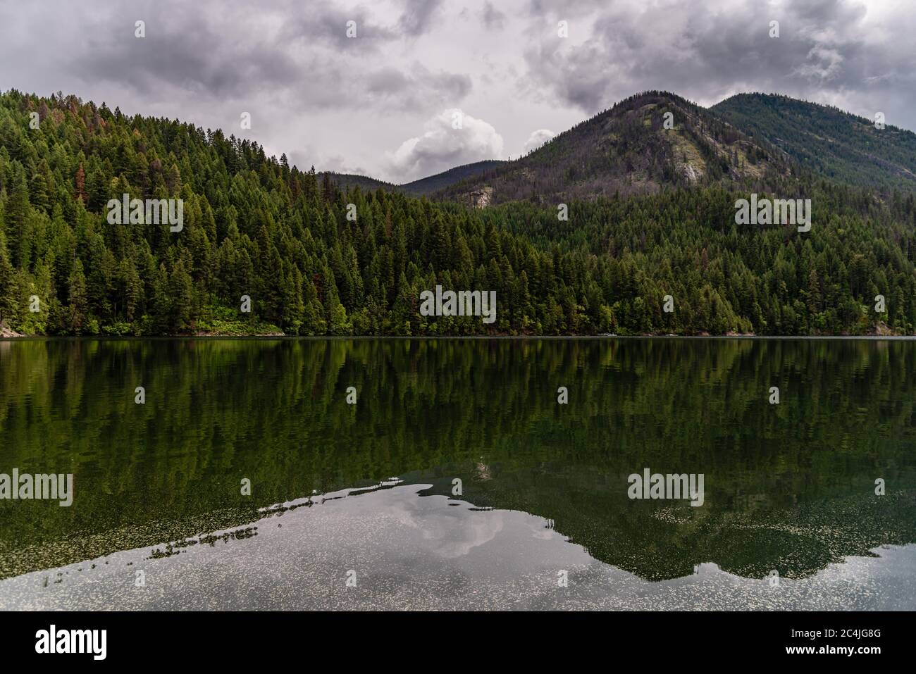 Sullivan Lake Im Colville National Forest Stockfoto