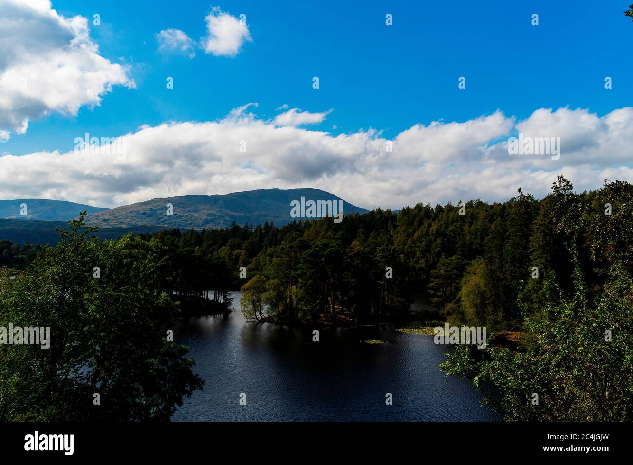 Tarn Hows im Lake District Cumbria Stockfoto