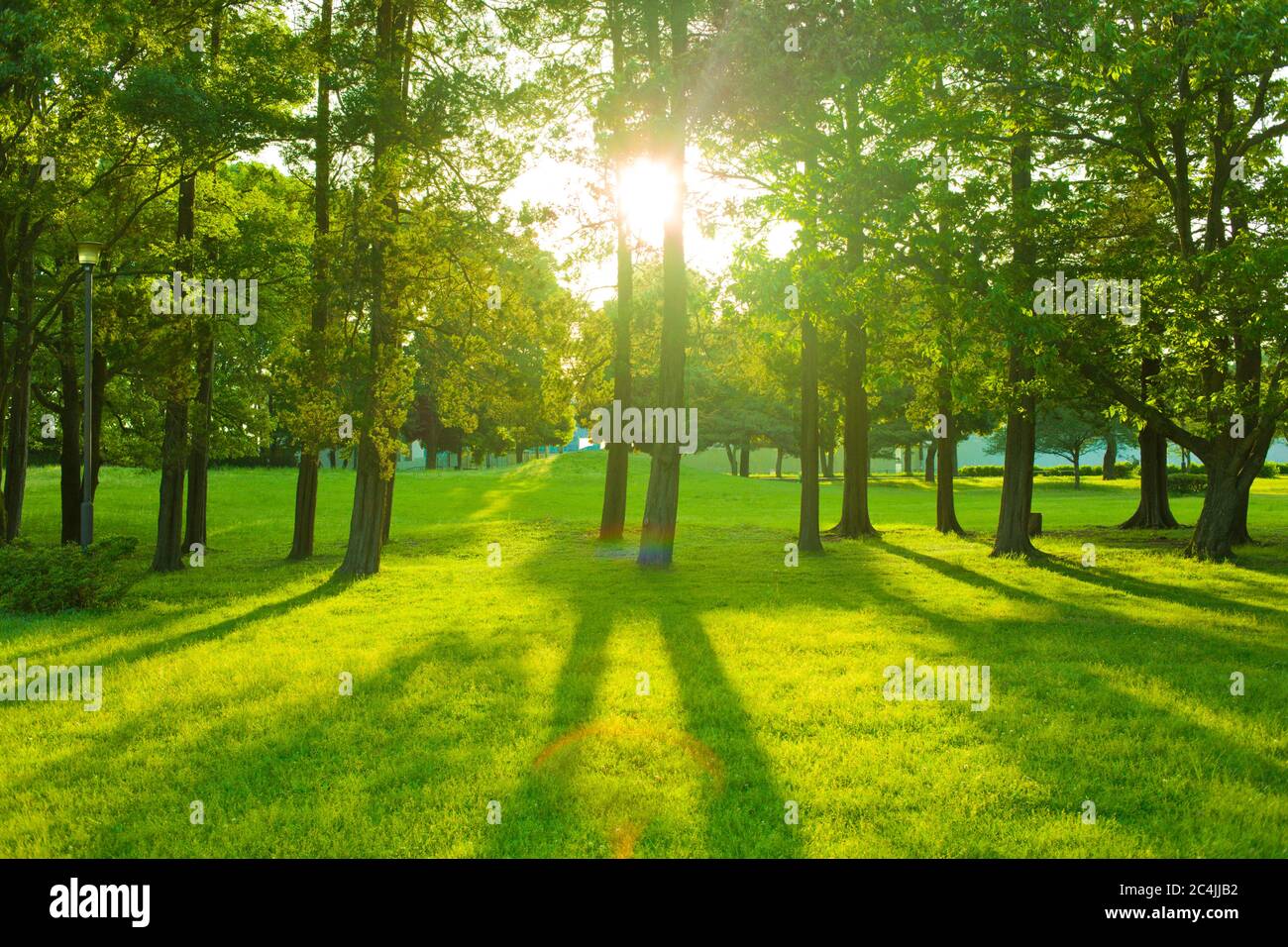 Sunshine Park Stockfoto