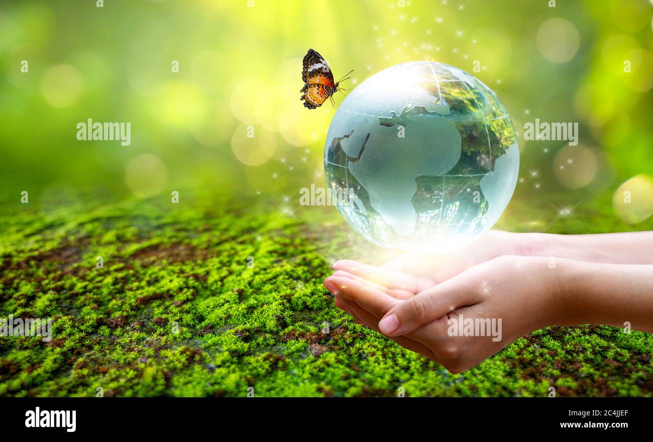 Ein Mann mit einem Glasglobus Konzept Tag Erde Speichern Sie die Welt speichern Umwelt die Welt ist im Gras des grünen Bokeh Hintergrund Stockfoto