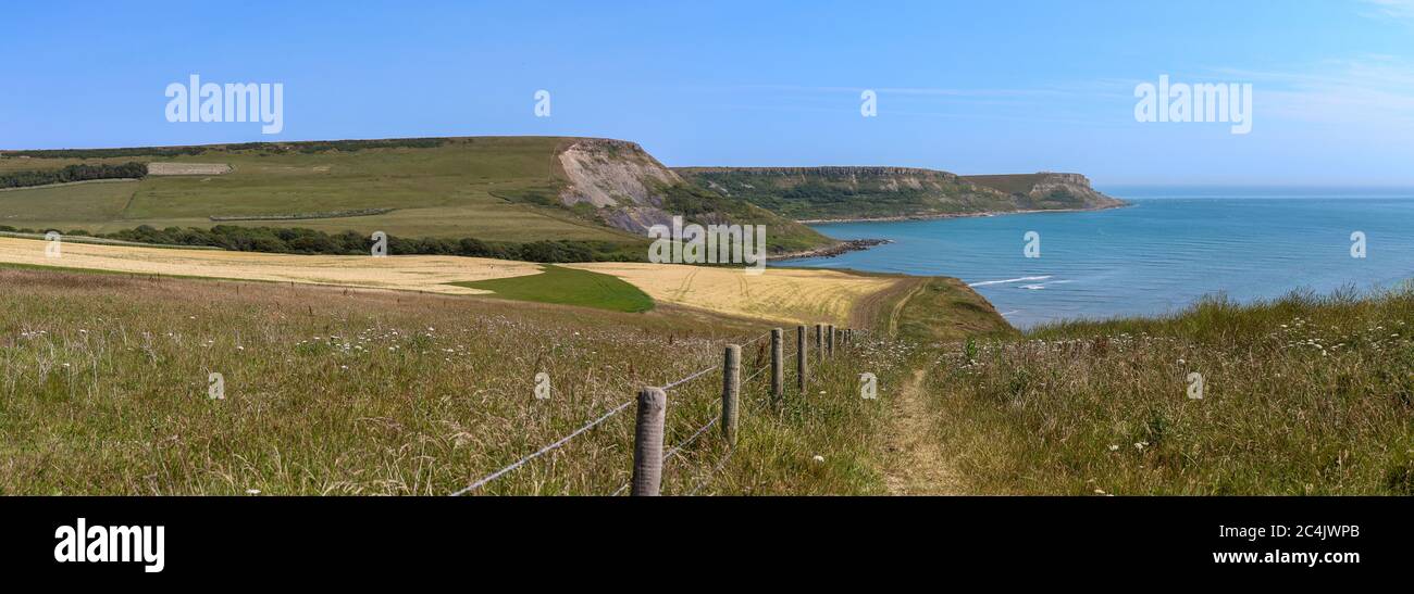 Jurassic Küste Blick auf Houns-tout Klippe im Sommer, Dorset Stockfoto