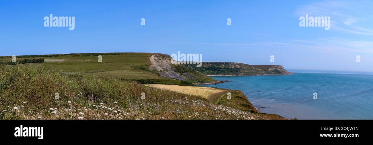 Jurassic Küste Blick auf Houns-tout Klippe im Sommer, Dorset Stockfoto