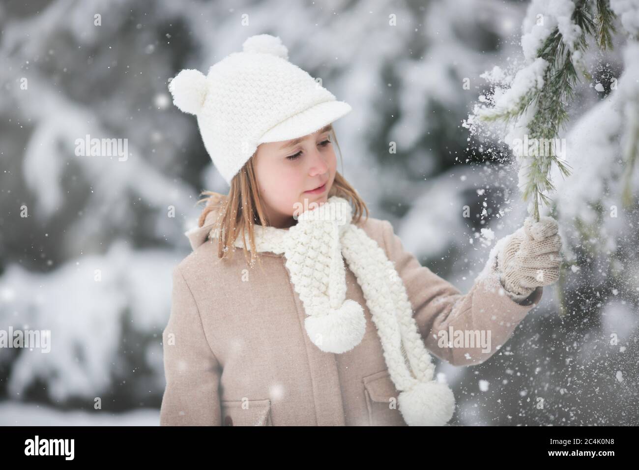 Das kleine Mädchen schüttelt Schnee von einer Tanne auf sich selbst. Spaziergang im Winterwald. Vergnügen für das Kind. Weihnachtsstimmung Stockfoto