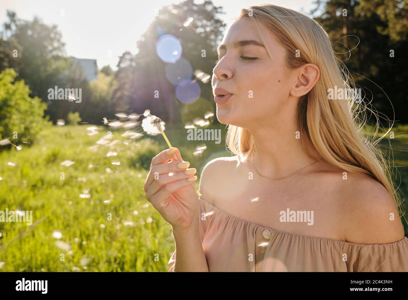 Cute blonde Mädchen mit langen Haaren weht Löwenzahn, während genießen sonnigen Sommertag mit grünem Gras und Bäumen auf dem Hintergrund Stockfoto