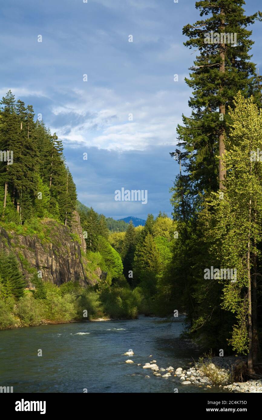 Skykomish River, Stevens Pass Scenic Highway, US-Bundesstaat Washington, USA Stockfoto