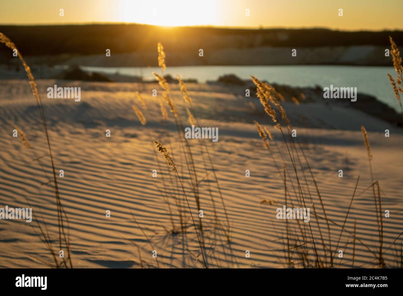 Fußspuren im Sand in der Wüste. Der Weg zur Oase. Sonnenuntergang. Stockfoto