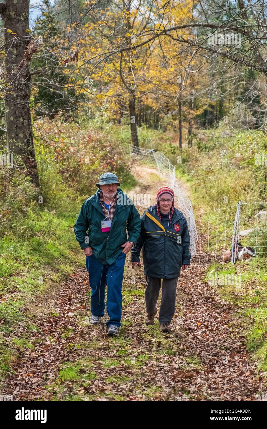 Ein Paar, das an einem Herbsttag spazieren geht Stockfoto