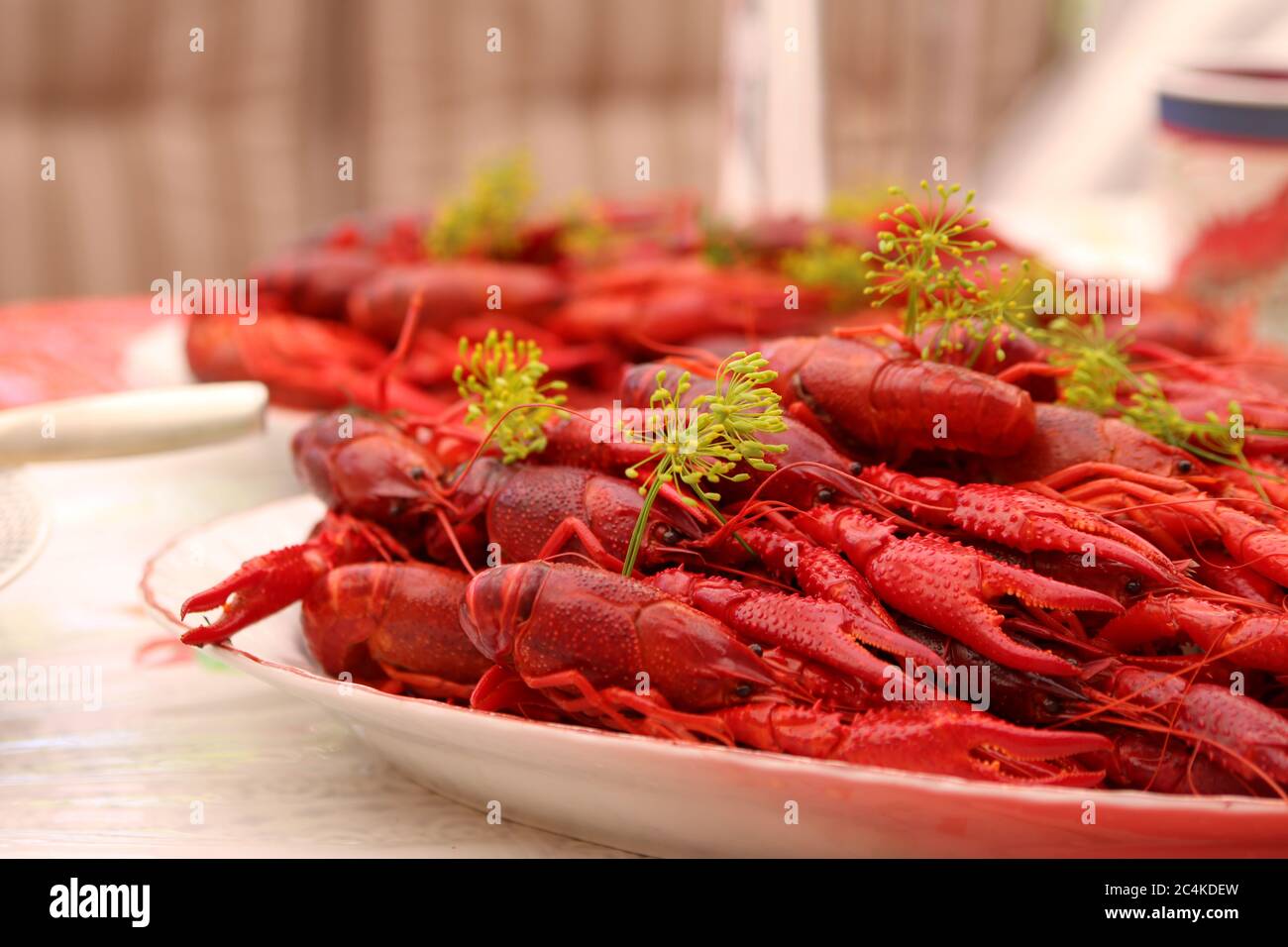 Traditionelle schwedische Langusten, Hummer und Krabben Partei Abendessen Stockfoto