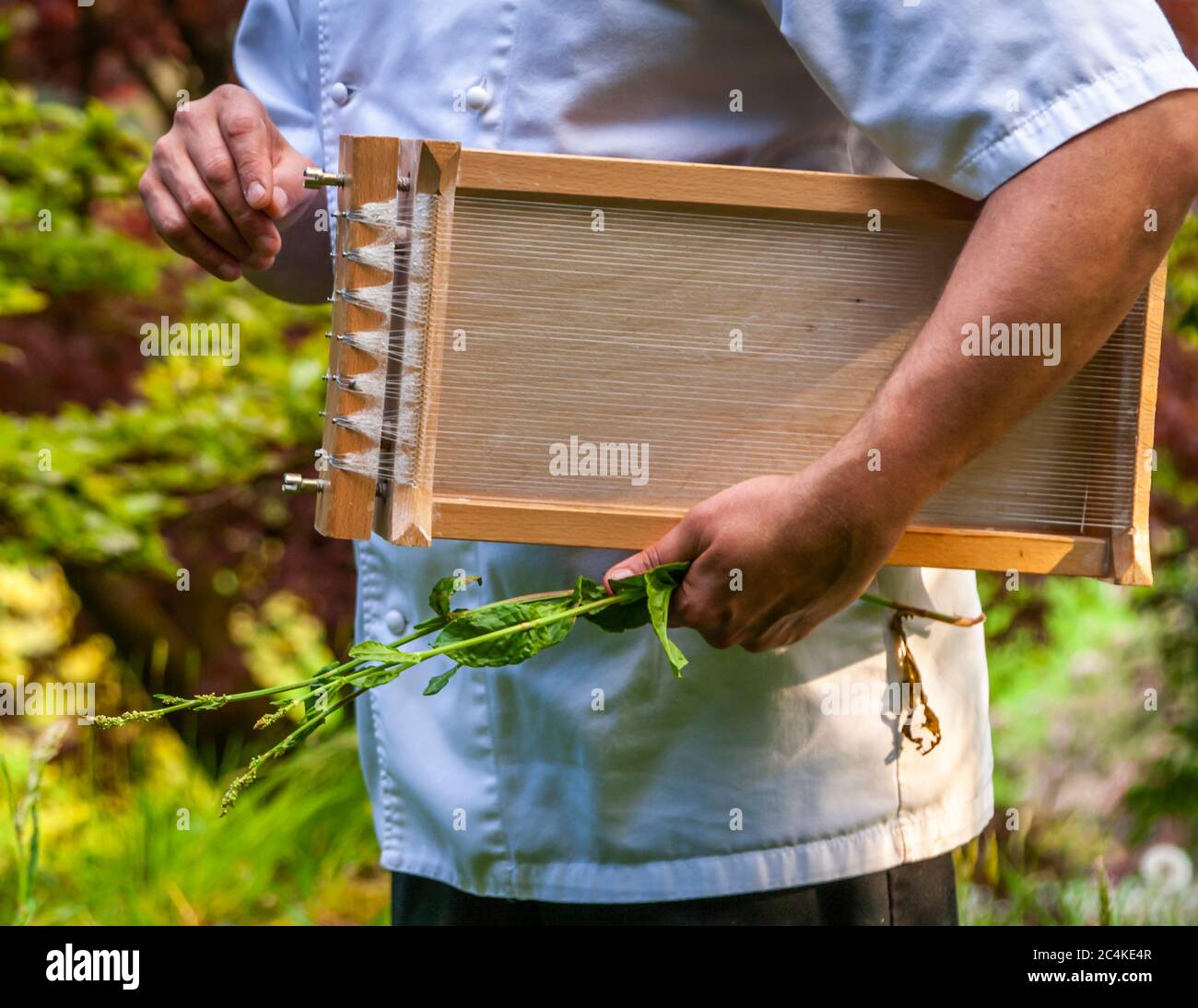 José Graziosi mit seinem Carraturo, das ein Werkzeug ist, um Makkaroni-Pasta zu machen Stockfoto