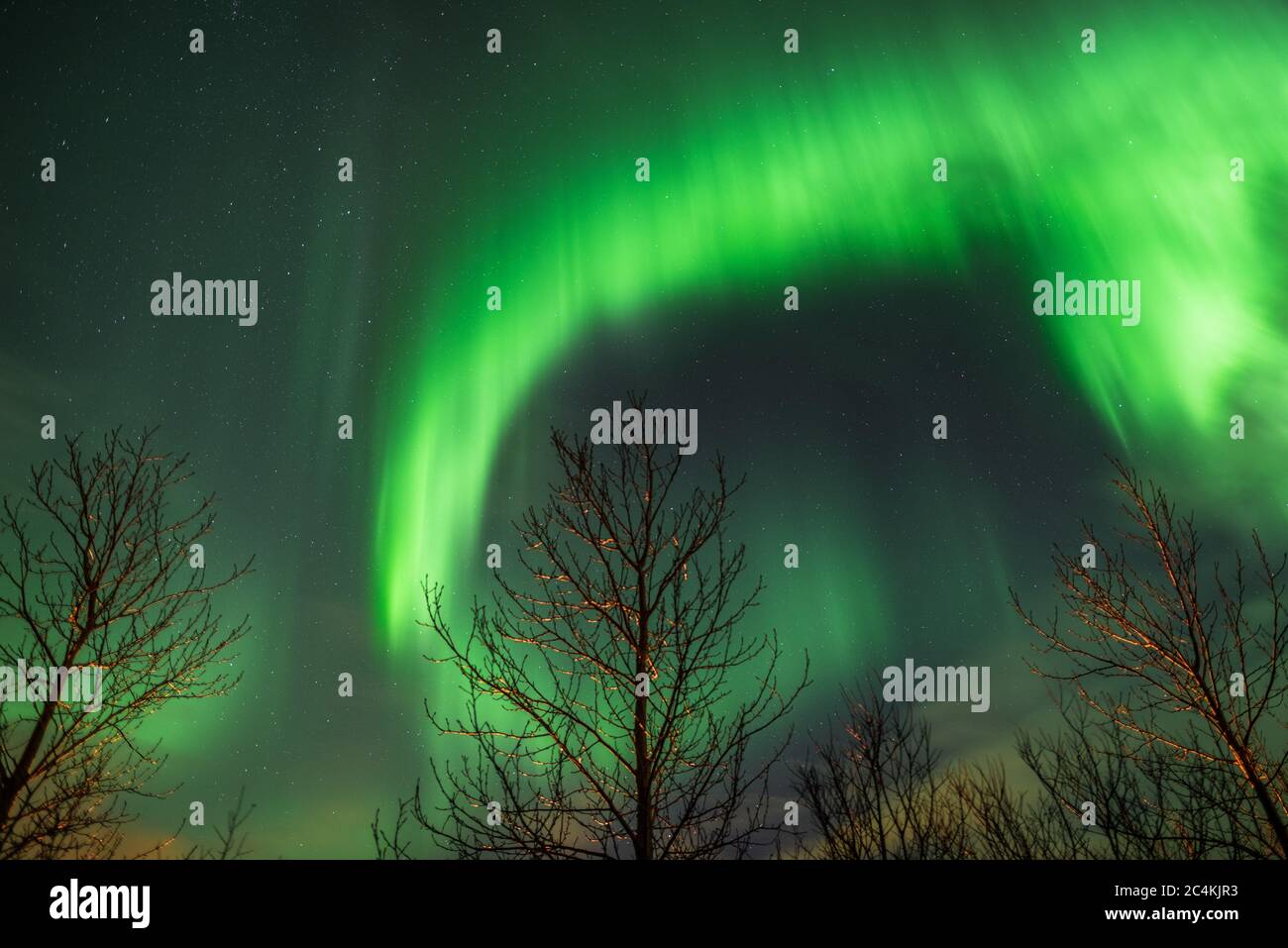 aurora, Island / Island, skandinavien Stockfoto