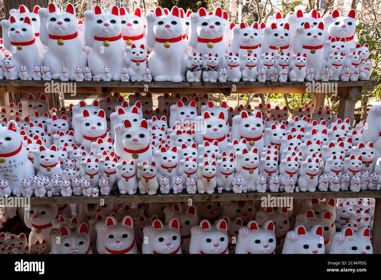 Nahaufnahme von Maneki-Neko oder „glückeinladenden Katzenstatuen“ im Gotokuji-buddhistischen Tempel. Setagaya, Tokio, japan. Stockfoto