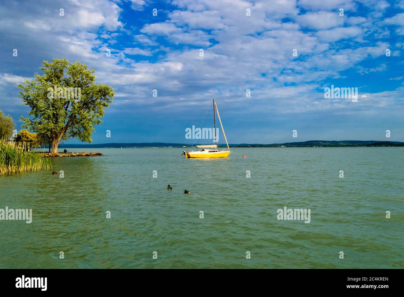 Ein gelbes Segelboot vor Anker auf dem Wasser bei leicht bewölktem Wetter mit Bergen im Hintergrund und mit Holz und Schilf im Vordergrund. Stockfoto