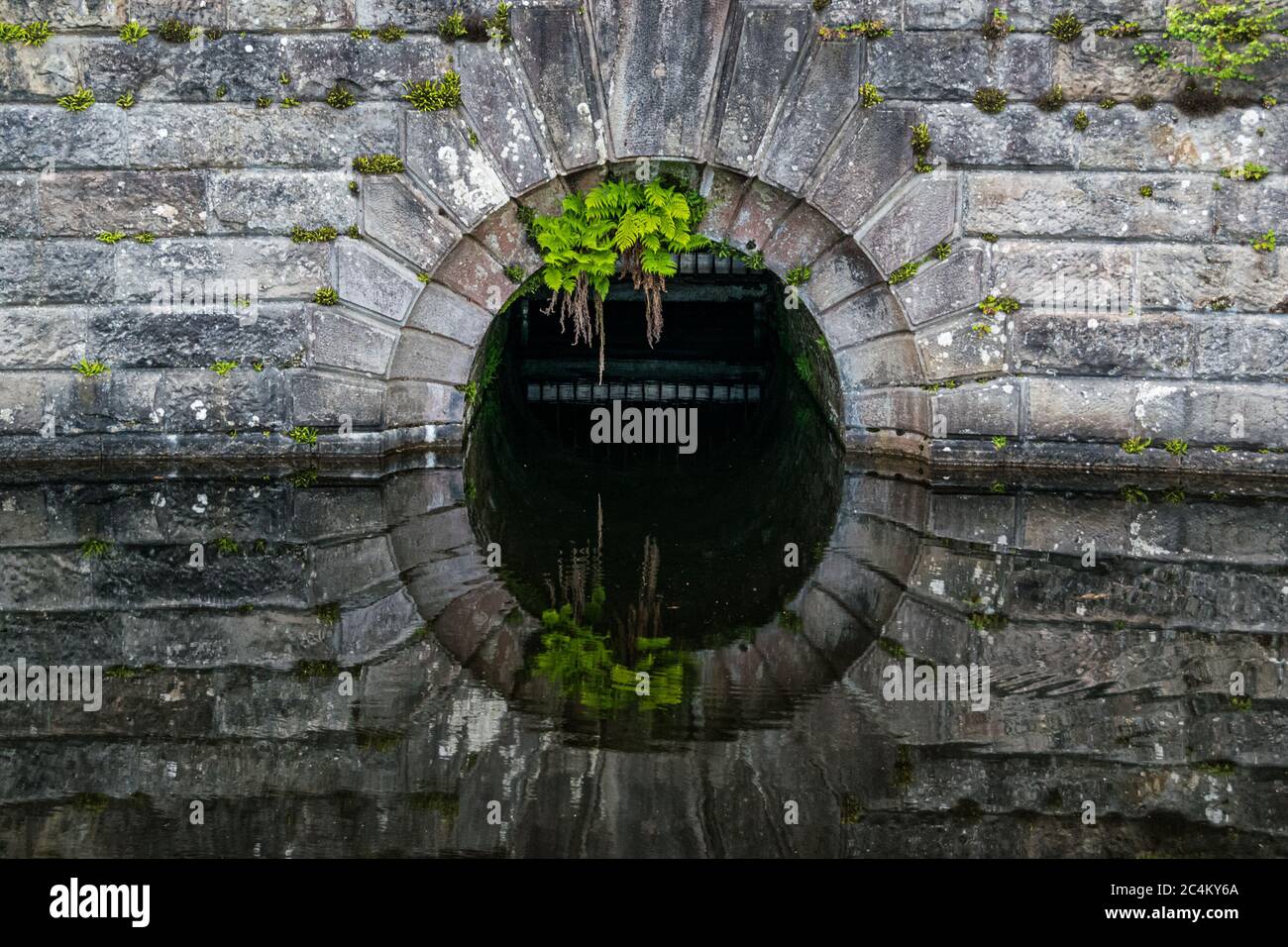 Detail eines alten Steindamms, der sich im Wasser von Milngavie Waterworks, der Wasseraufbereitungsanlage in Milngavie, Schottland, widerspiegelt. Stockfoto