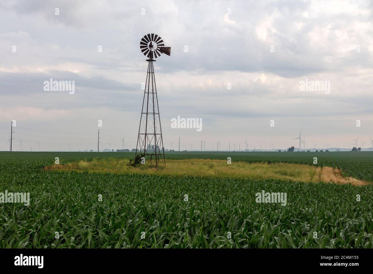 Alte Wetterfahne, im Maisfeld, N. Indiana, USA, von James D. Coppinger/Dembinsky Photo Assoc Stockfoto
