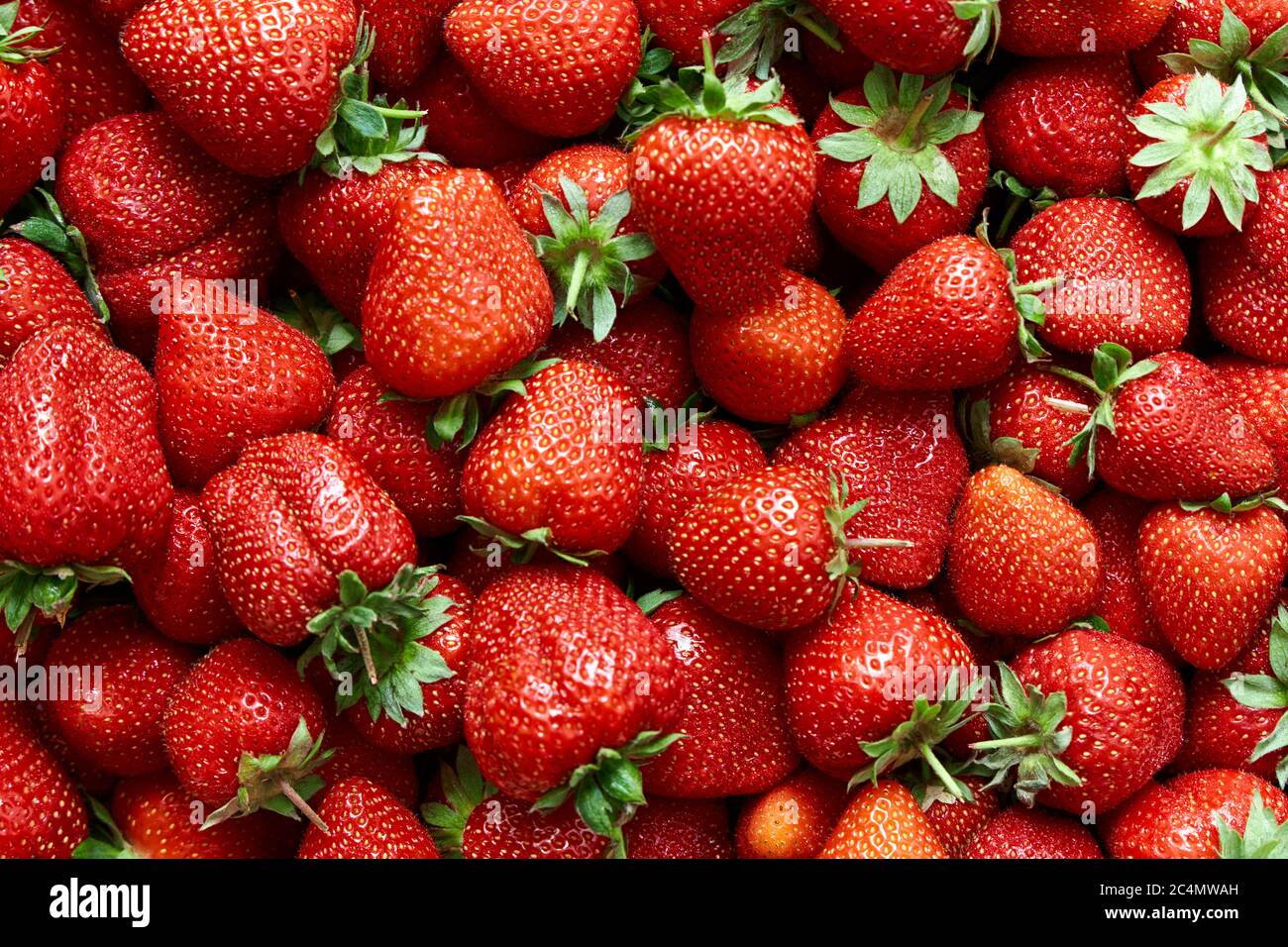 Rot reife Erdbeeren Hintergrund. Nahaufnahme. Draufsicht. Stockfoto
