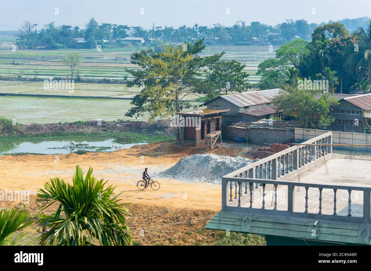 Landschaft des indischen Dorfes in Assam mit einem entfernten Mann, der sein Fahrrad zwischen Reisfeldern reitet Stockfoto