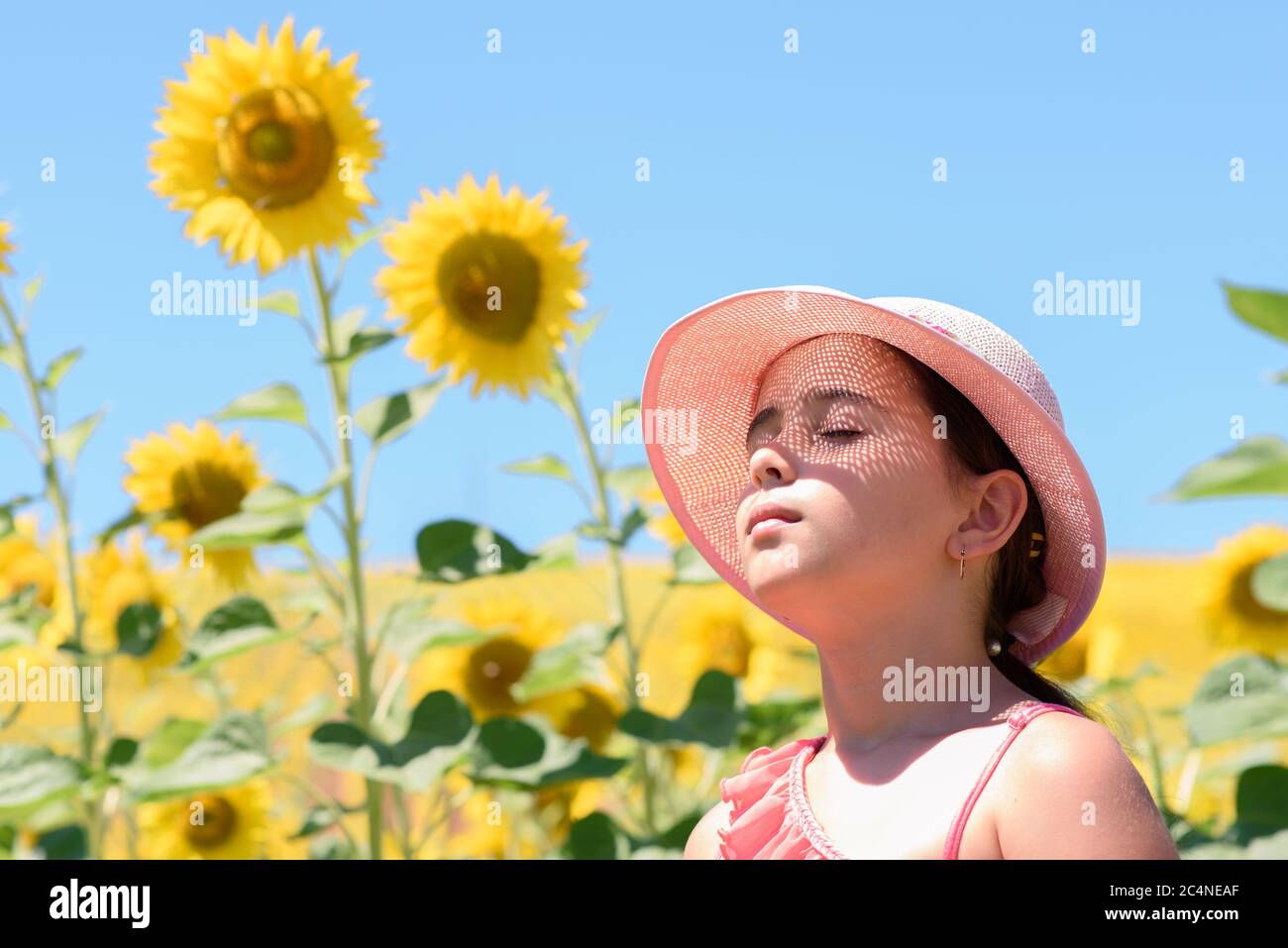 Ein Mädchen mit geschlossenen Augen, trägt einen rosa Hut, durch den die Sonnenstrahlen filtern, Lichtpunkte auf ihrem Gesicht erzeugen, in einem Feld von Sonnenblumen Stockfoto