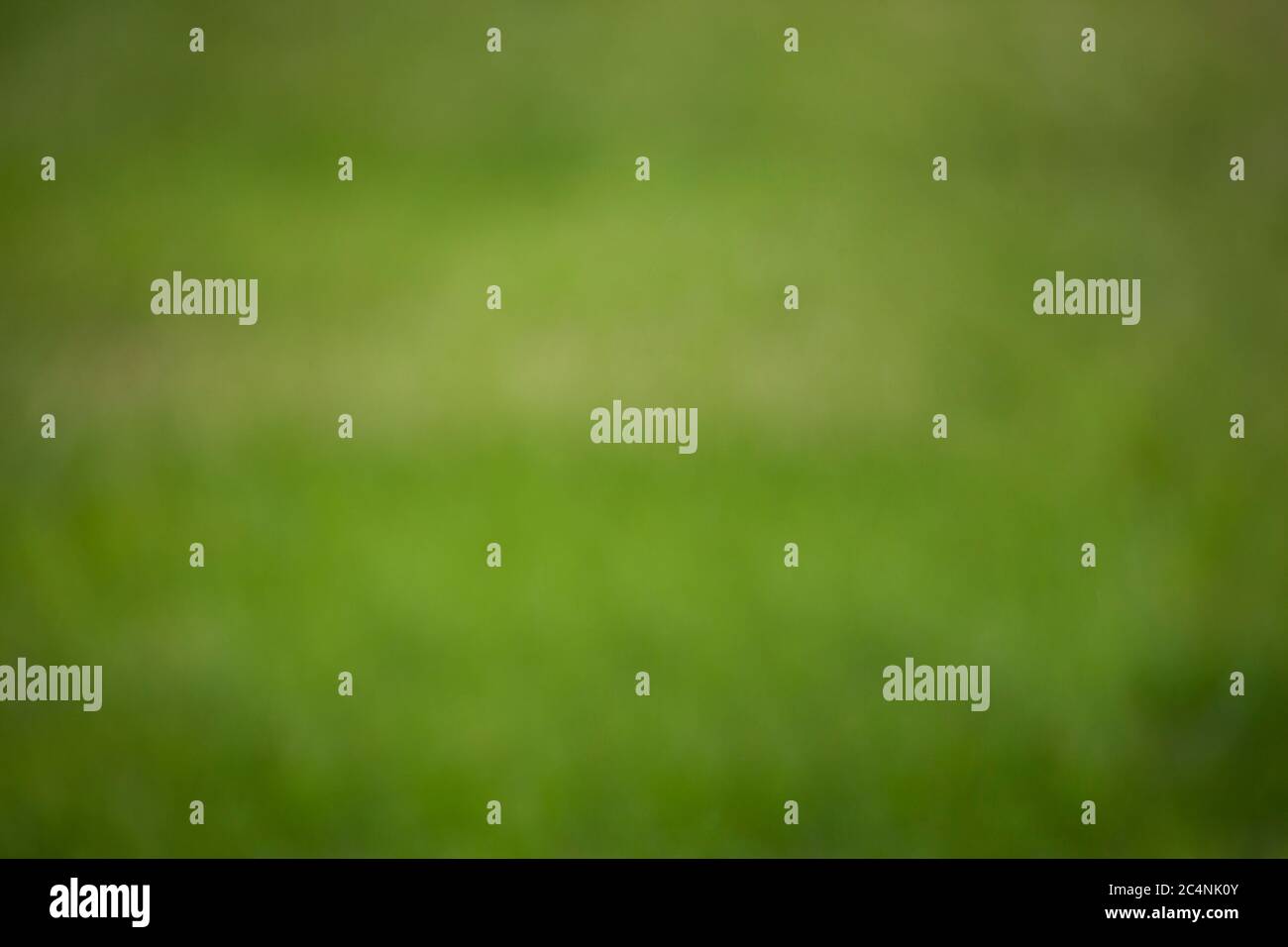 Verschwommenes Grün im Freien, Naturhintergrund für grafische Überblendung Stockfoto