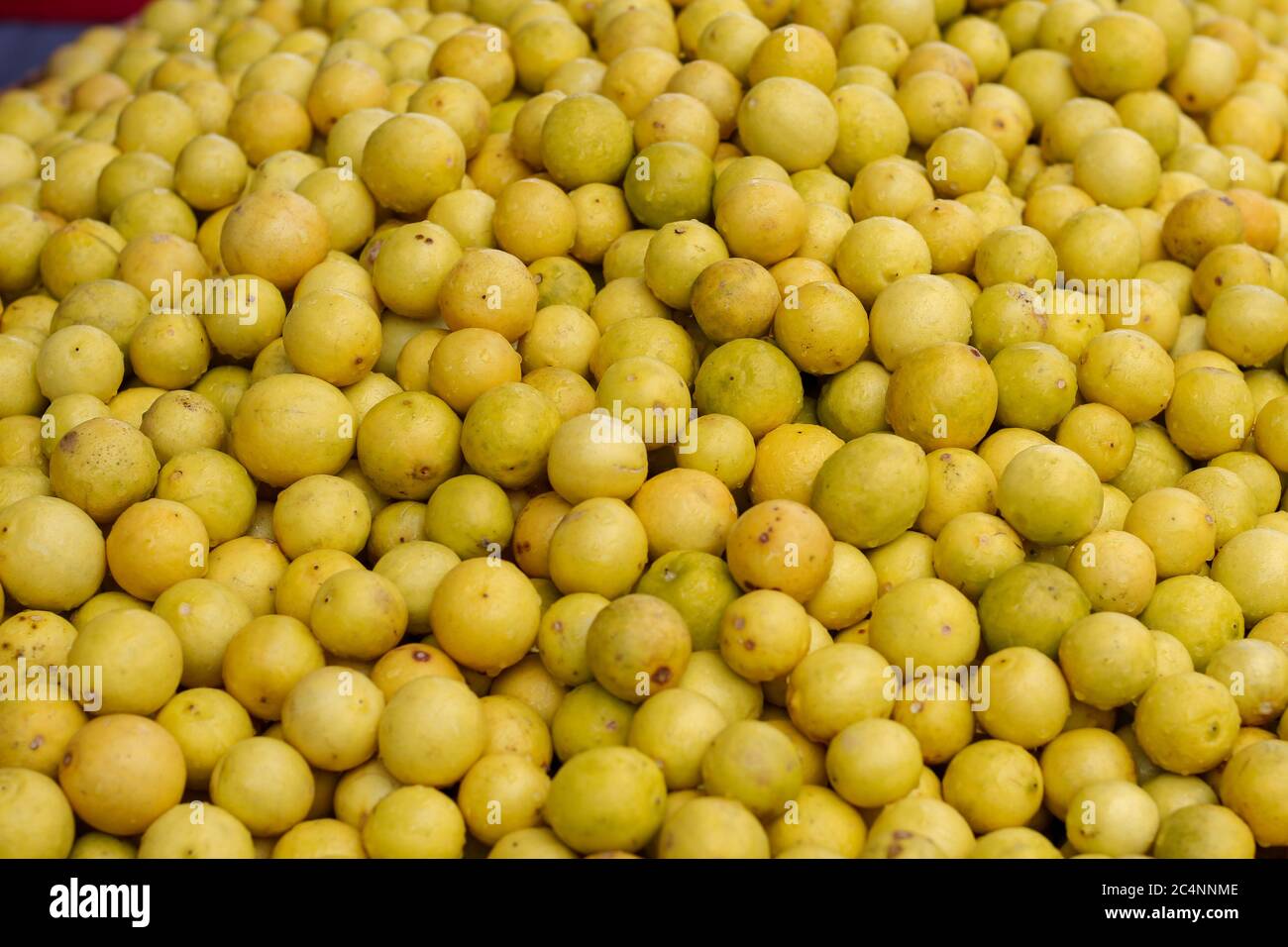 Viele leuchtend gelbe Zitronen auf einem Markt Stockfoto