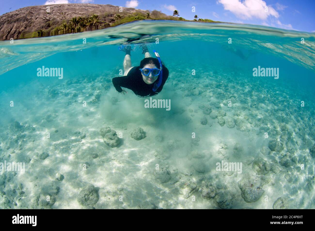 Schnorchler genießt das Wasser vor Hanauma Bay Marine Reserve, Oahu, Hawaii, USA Stockfoto