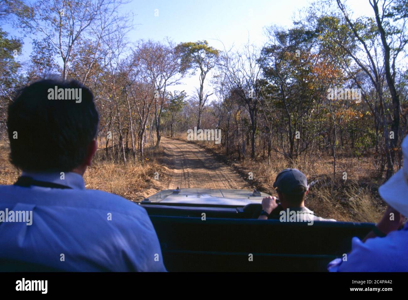 Sightseeing-Fahrt, Hwange National Park, Simbabwe, entlang der typischen unbefestigten Straße Stockfoto